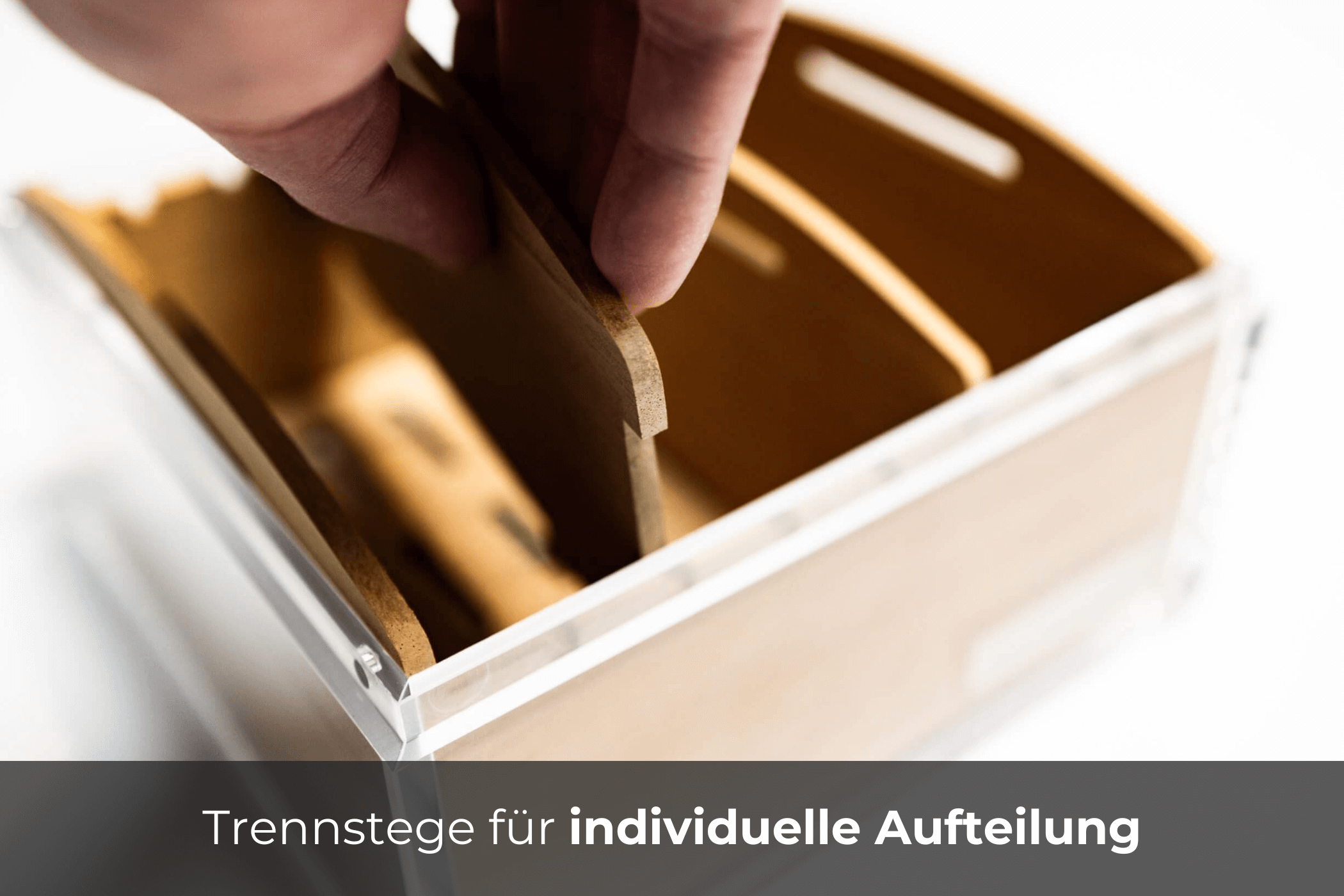 reposon-humidor-vista-mini-zigarren-humidor-acryl-25-zigarren-zeder image 3