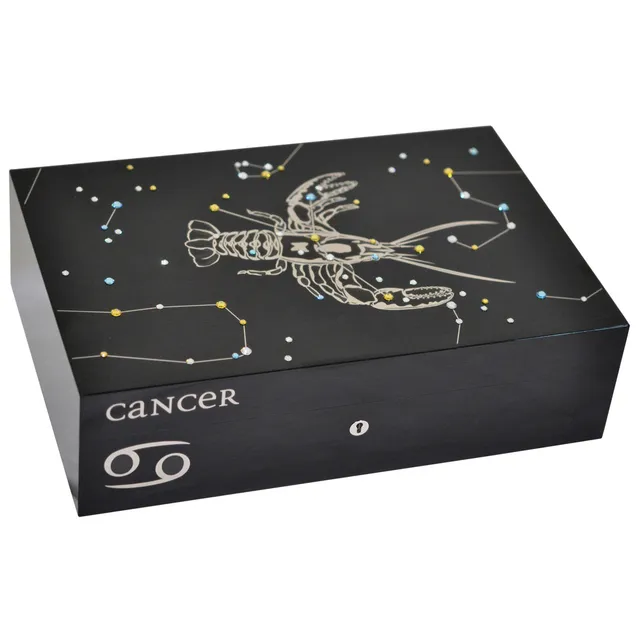 elie-bleu-cancer-humidor-f-r-110-zigarren-sycomore image 1
