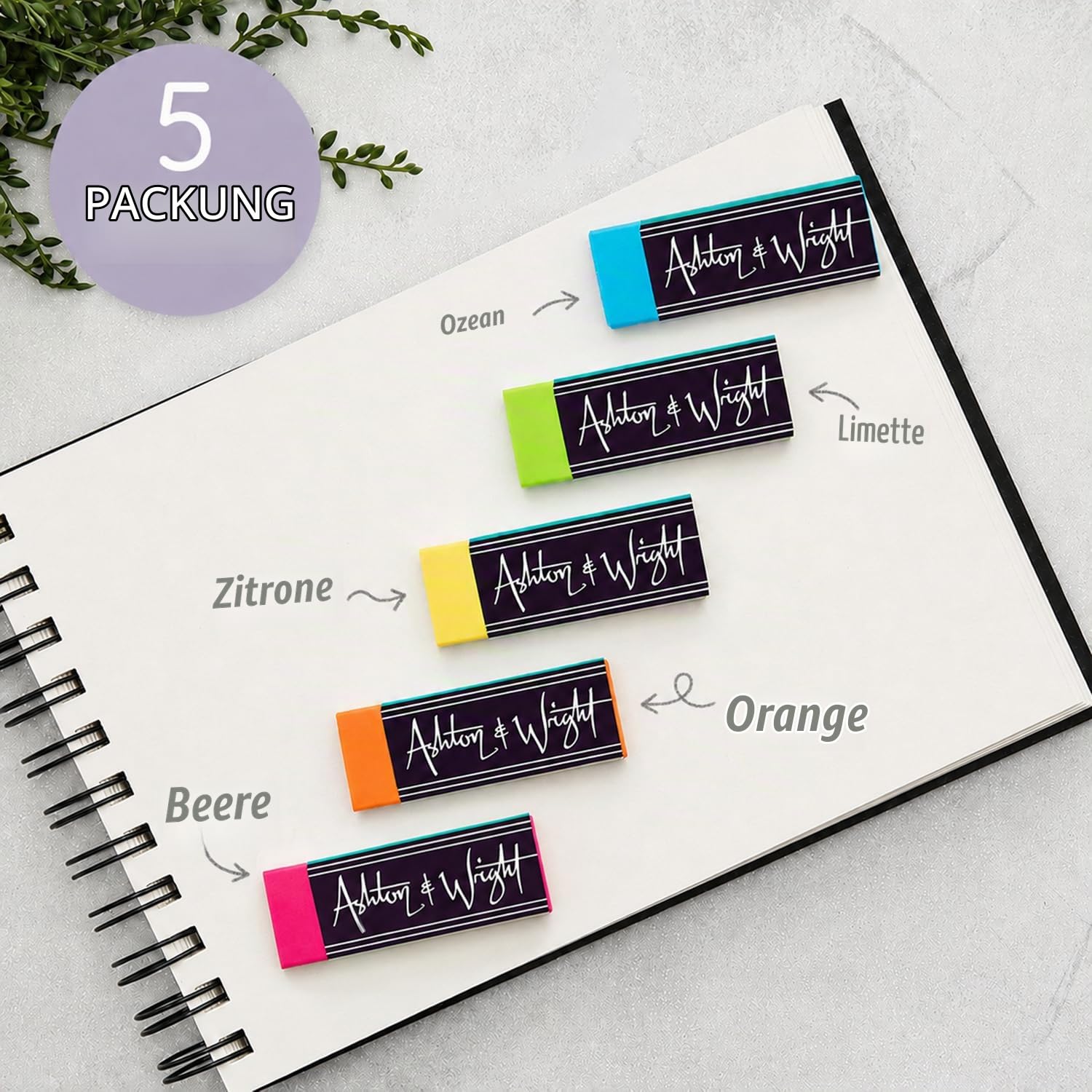 ashton-erasers-radiergummi-tropical-tones-5er-pack-latexfrei image 7