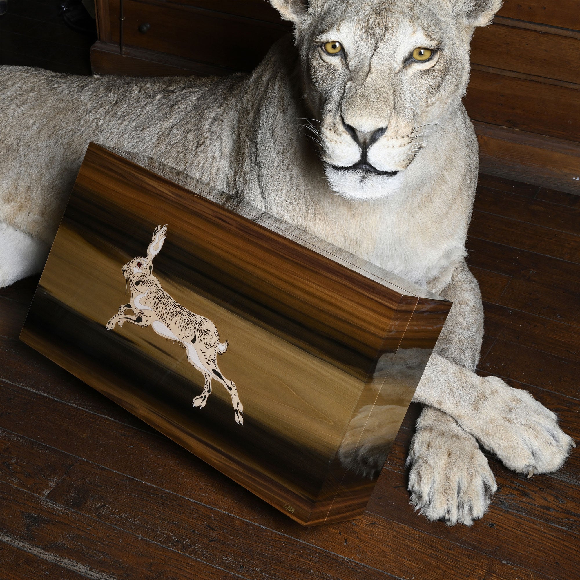 elie-bleu-rabbit-tulipier-humidor-f-r-250-zigarren-holz image 4
