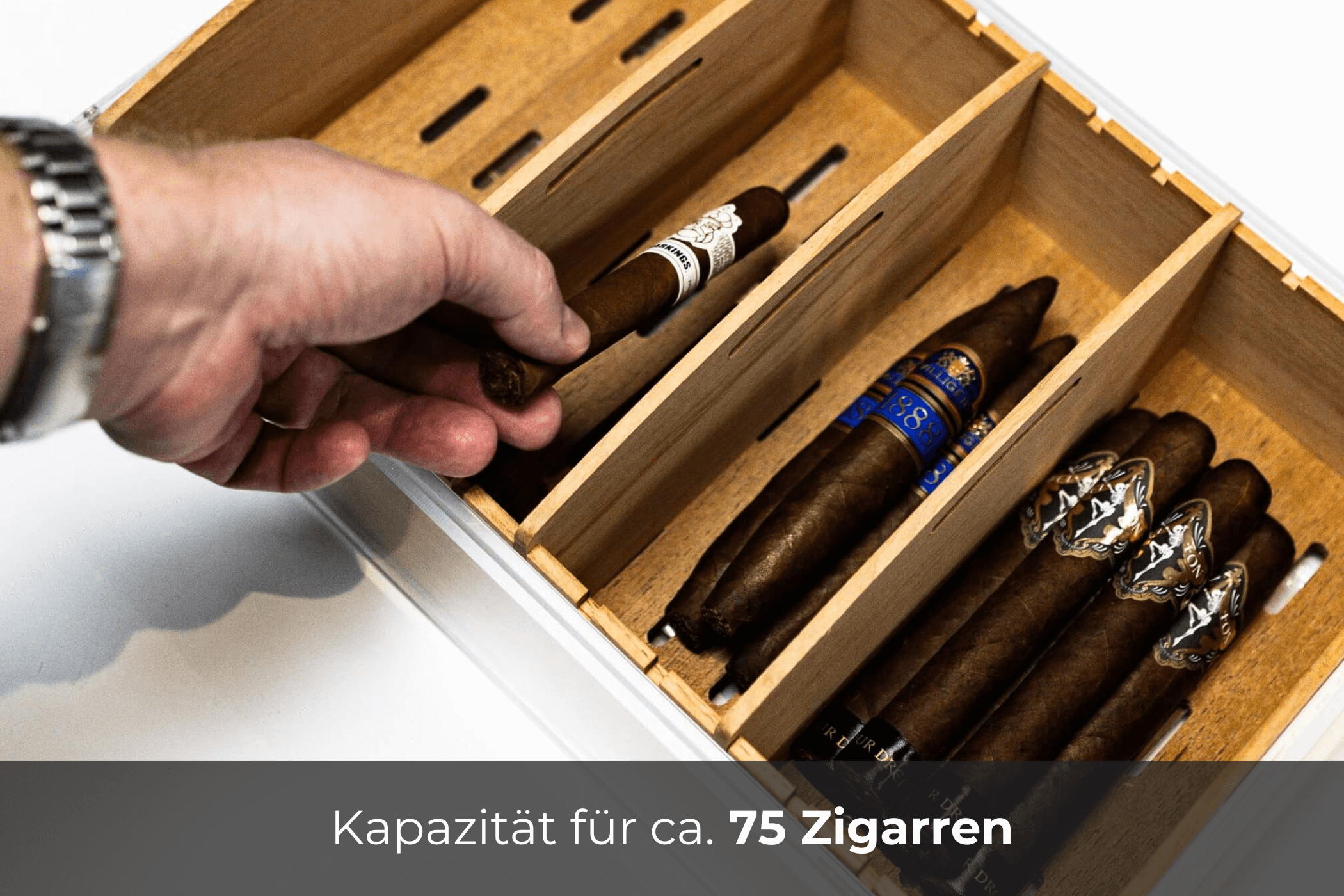 reposon-humidor-vista-humidor-xxl-acryl-f-r-75-zigarren image 5