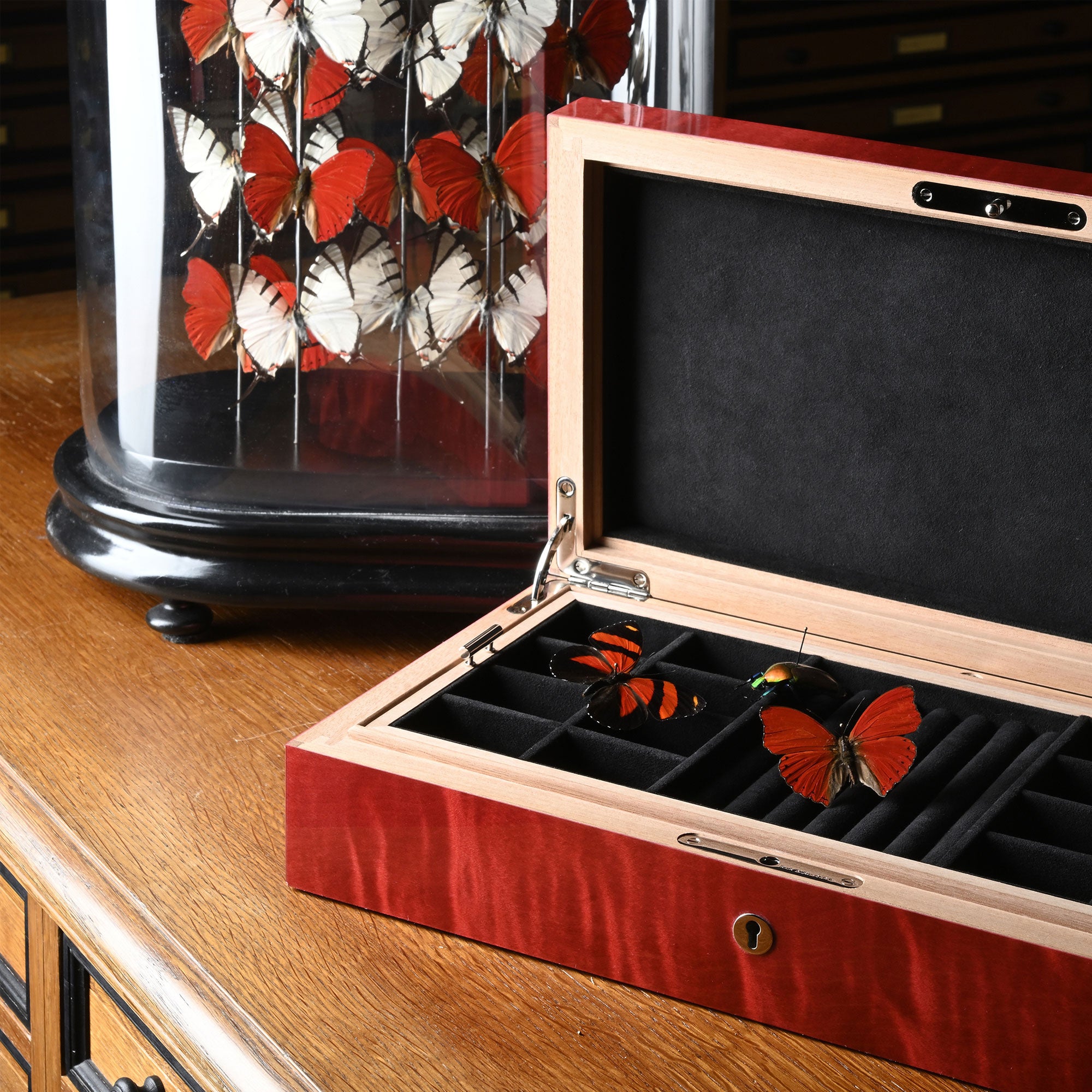 elie-bleu-butterflies-schmuckbox-perlmutt-wei-rot image 8