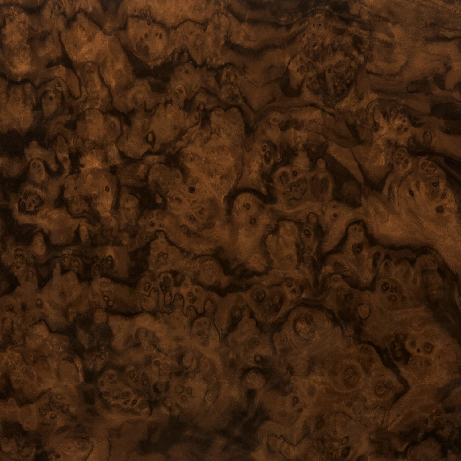 elie-bleu-walnut-burl-humidor-50-zigarren-nussmaser image 3