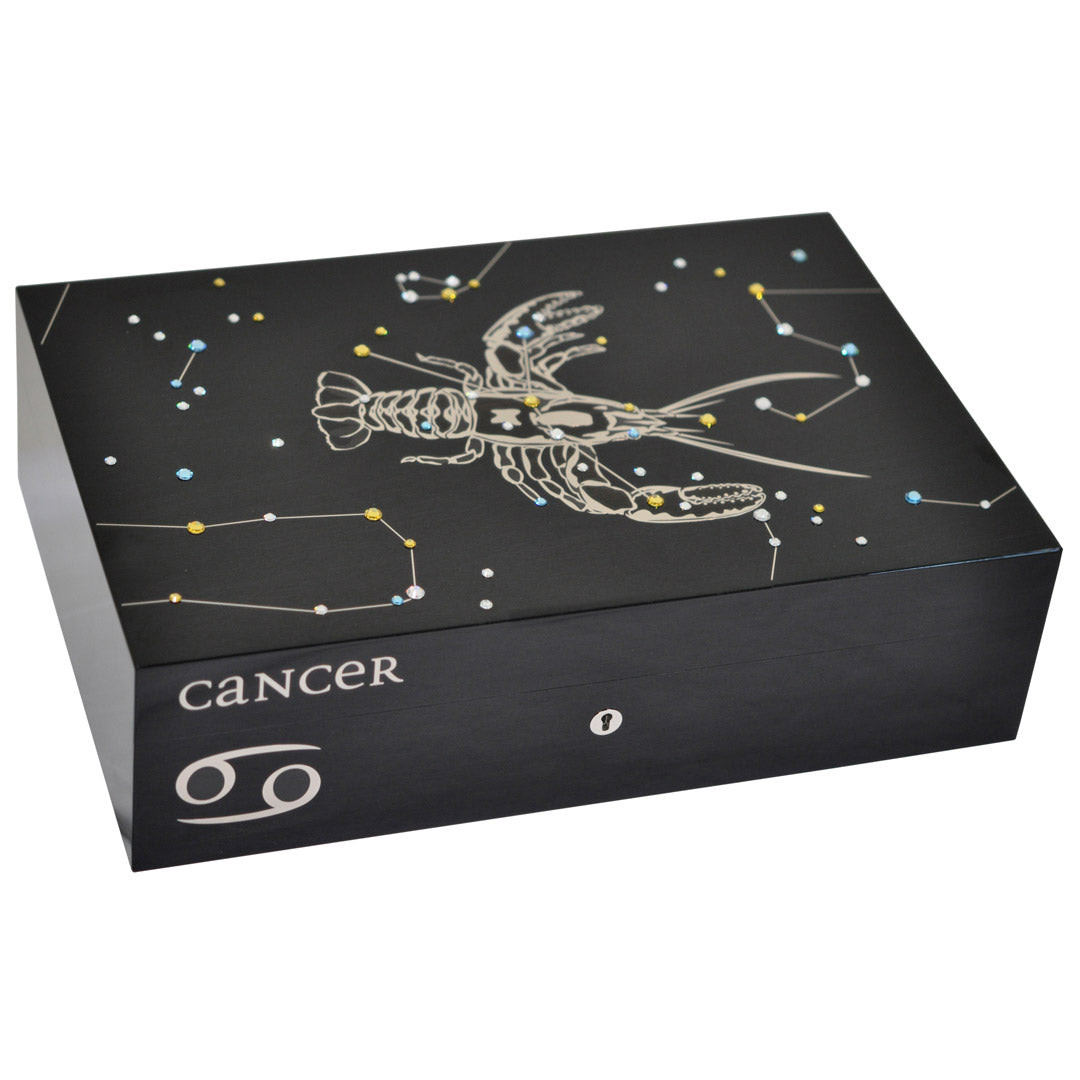 elie-bleu-cancer-humidor-f-r-110-zigarren-sycomore image 1