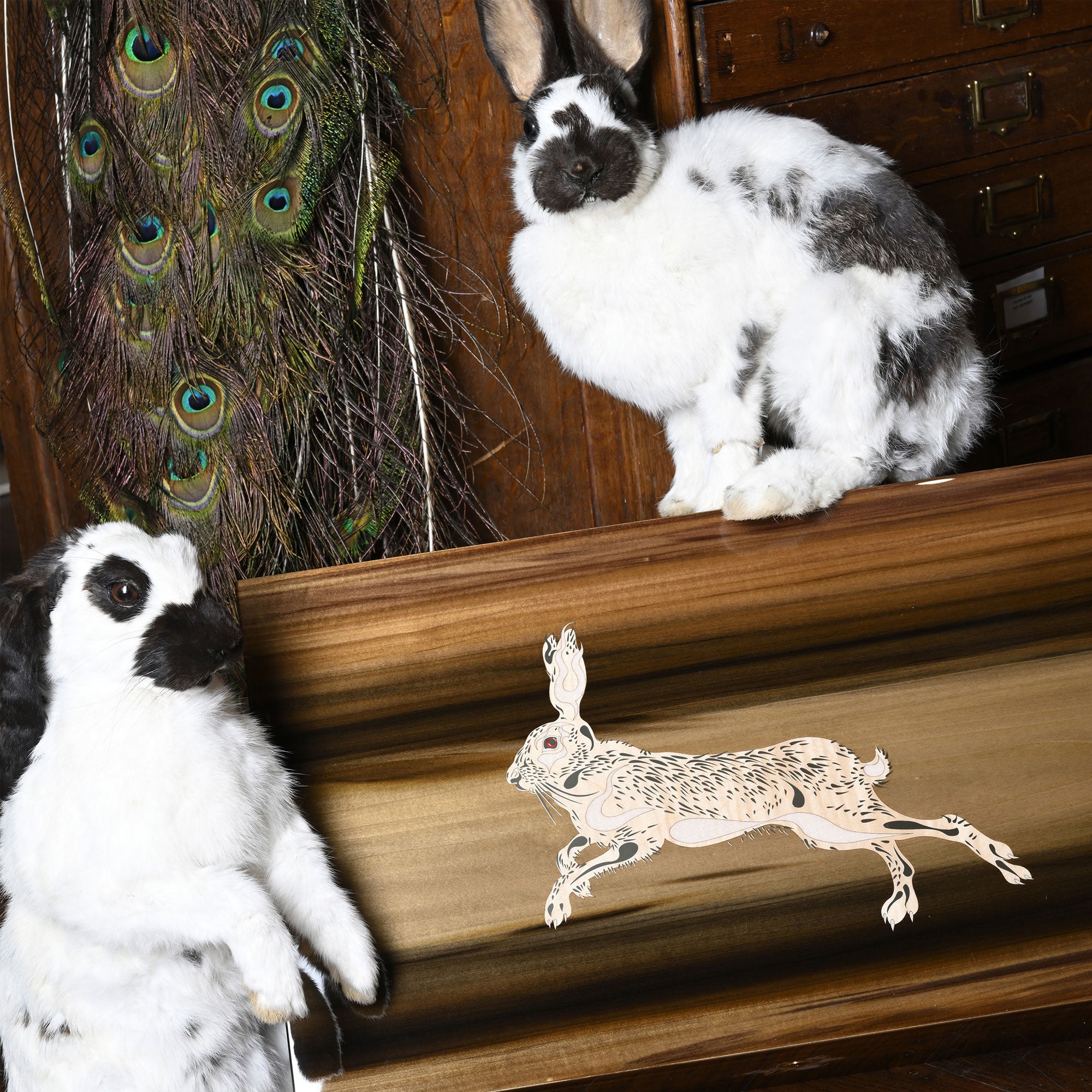 elie-bleu-rabbit-tulipier-humidor-f-r-250-zigarren-holz image 2