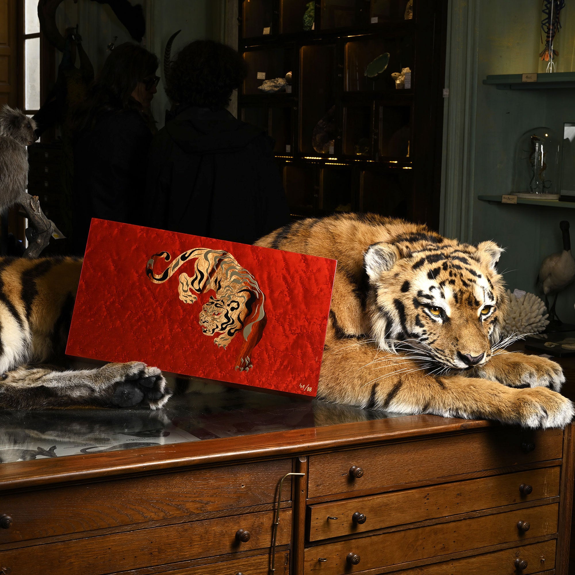 elie-bleu-tiger-humidor-f-r-110-zigarren-rot-ahorn image 3