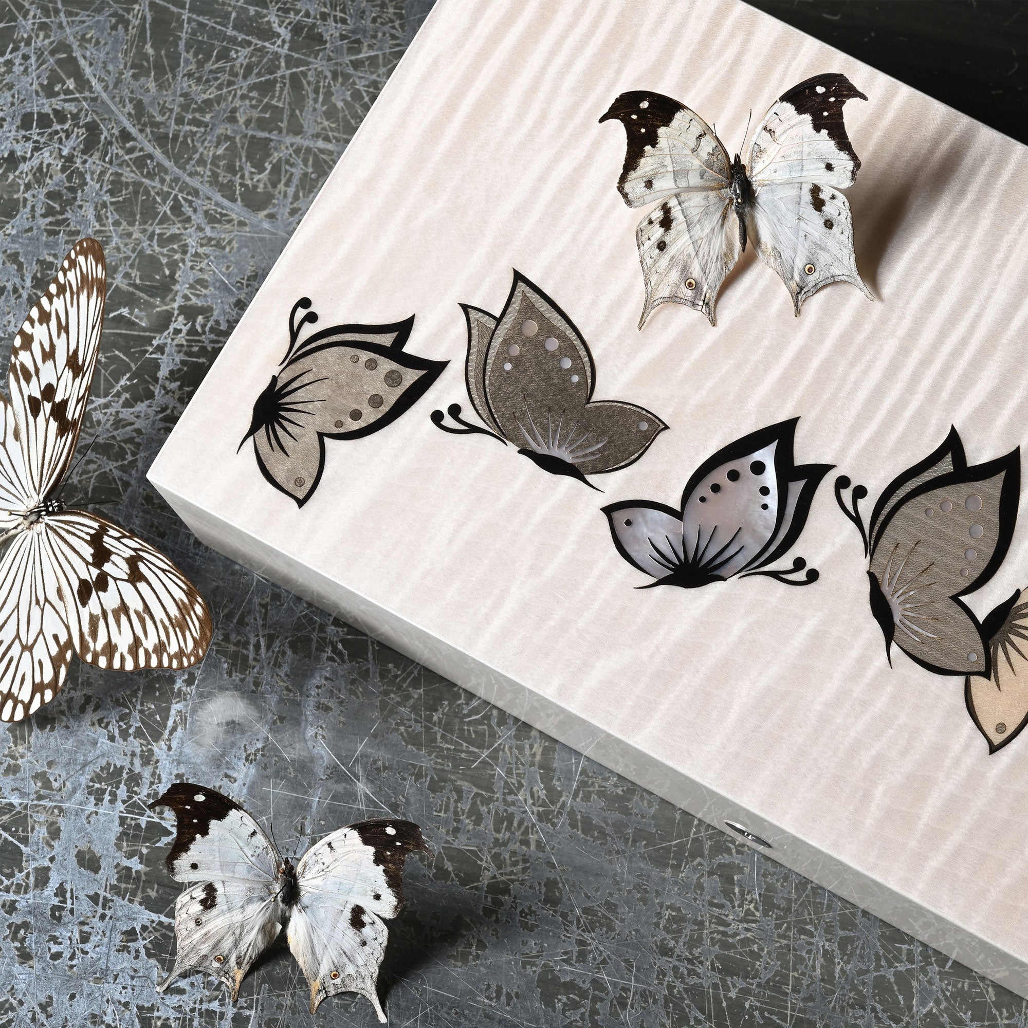 elie-bleu-butterflies-schmuckbox-perlmutt-wei-rot image 5