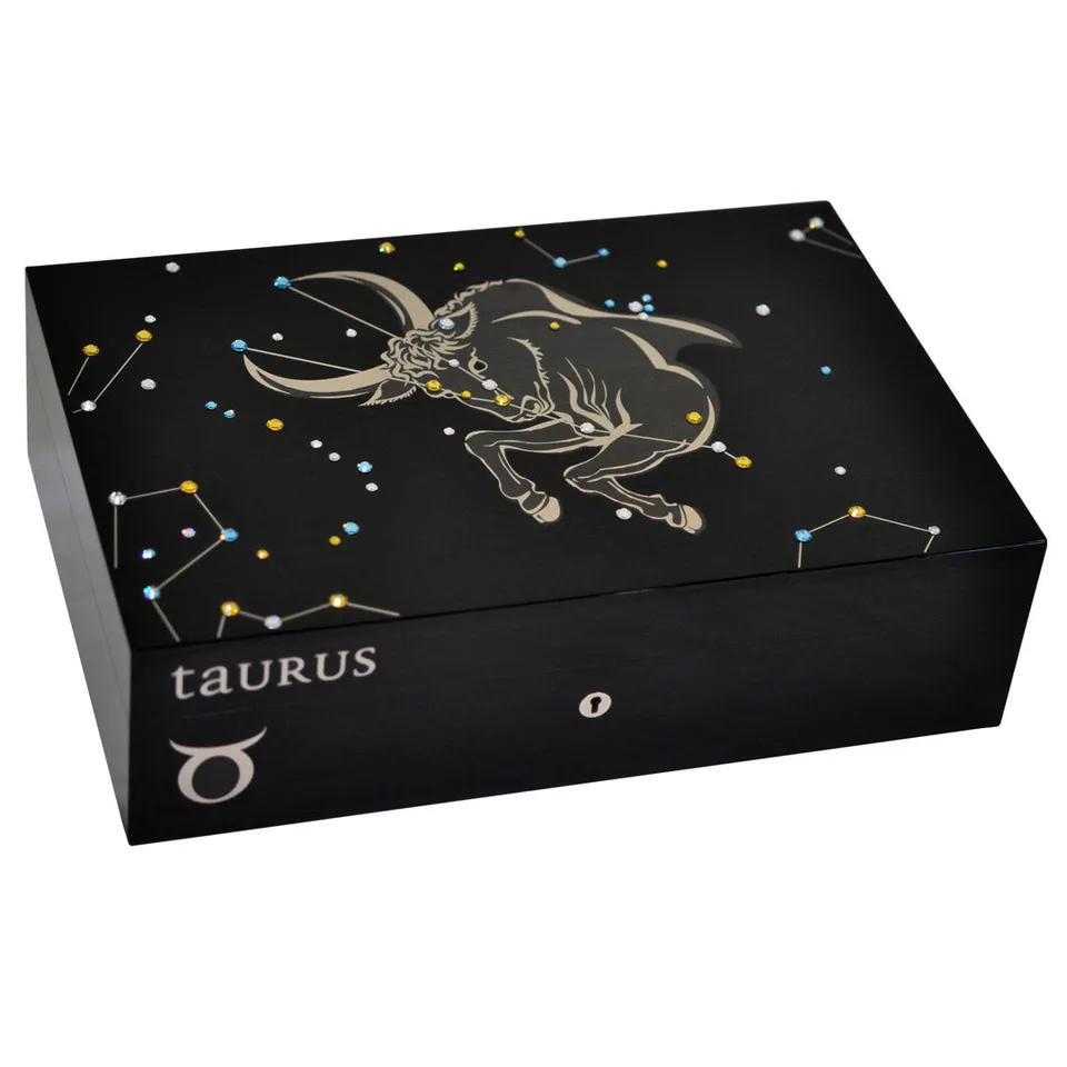 elie-bleu-ox-humidor-110-zigarren-sycomore image 1