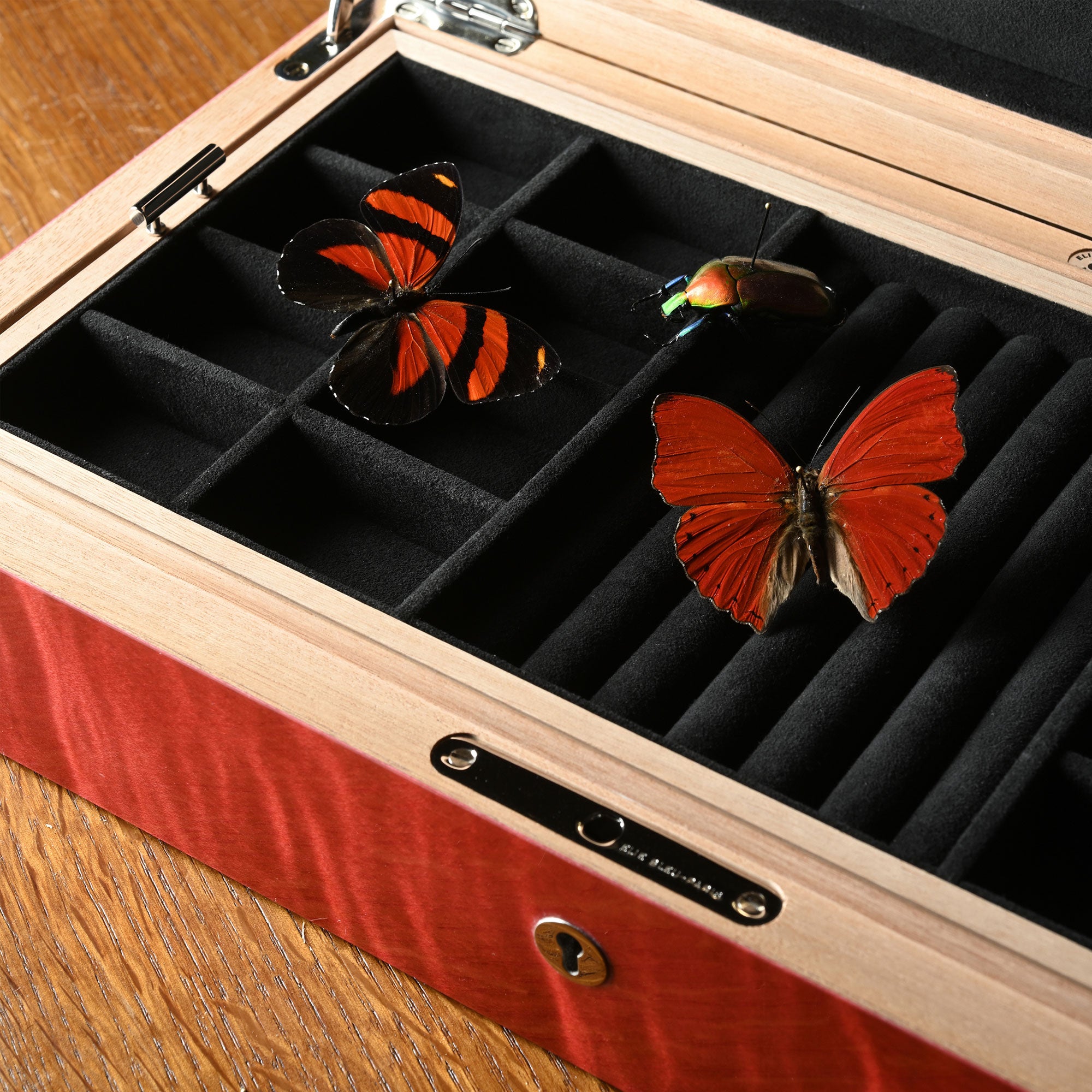 elie-bleu-butterflies-schmuckbox-perlmutt-wei-rot image 7